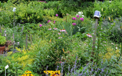 Permakultur: Landwirtschaft im Einklang mit der Natur