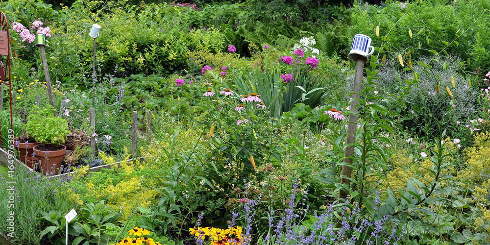 Permakultur: Landwirtschaft im Einklang mit der Natur