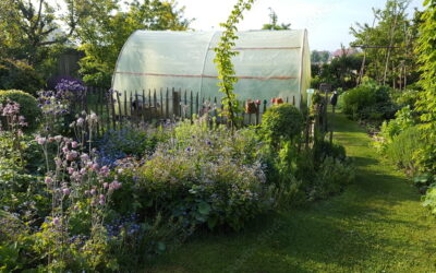 Naturgarten und Permakultur