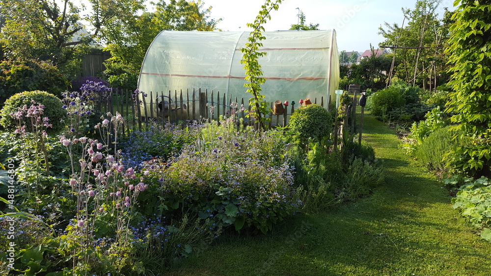kleines Gewächshaus im naturnahen Garten umgeben von bunten Blumen am Staketenzaun aus Holz