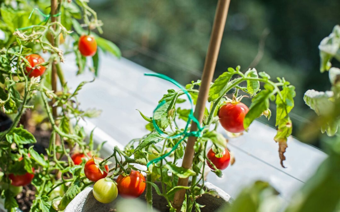 Balkongarten, Permakultur auf kleinstem Raum