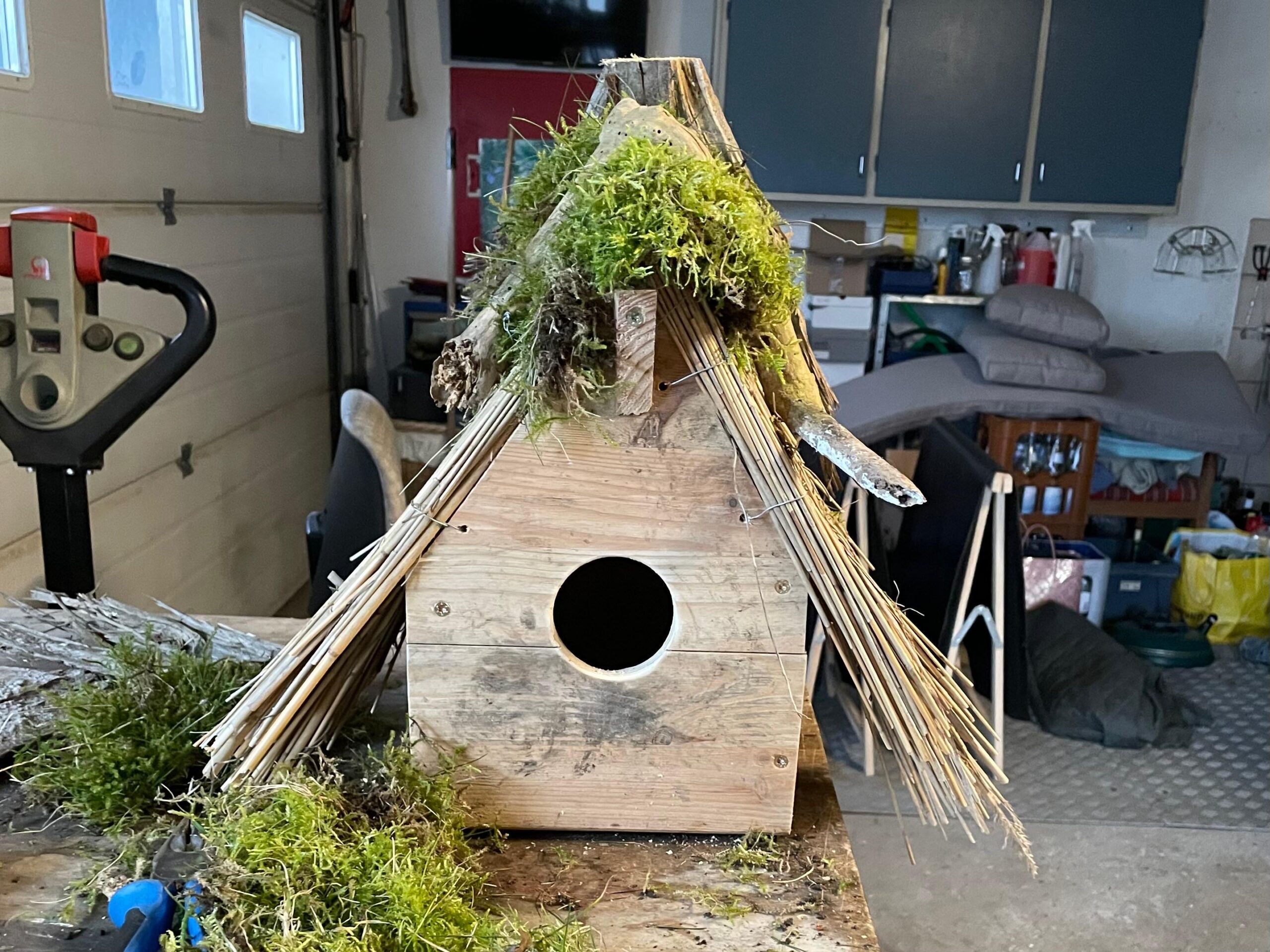 WhatsApp Image 2025-03-02 at 20.19.28 microgreen dill sprouts, radishes, mustard, arugula, mustard in the range on a light background