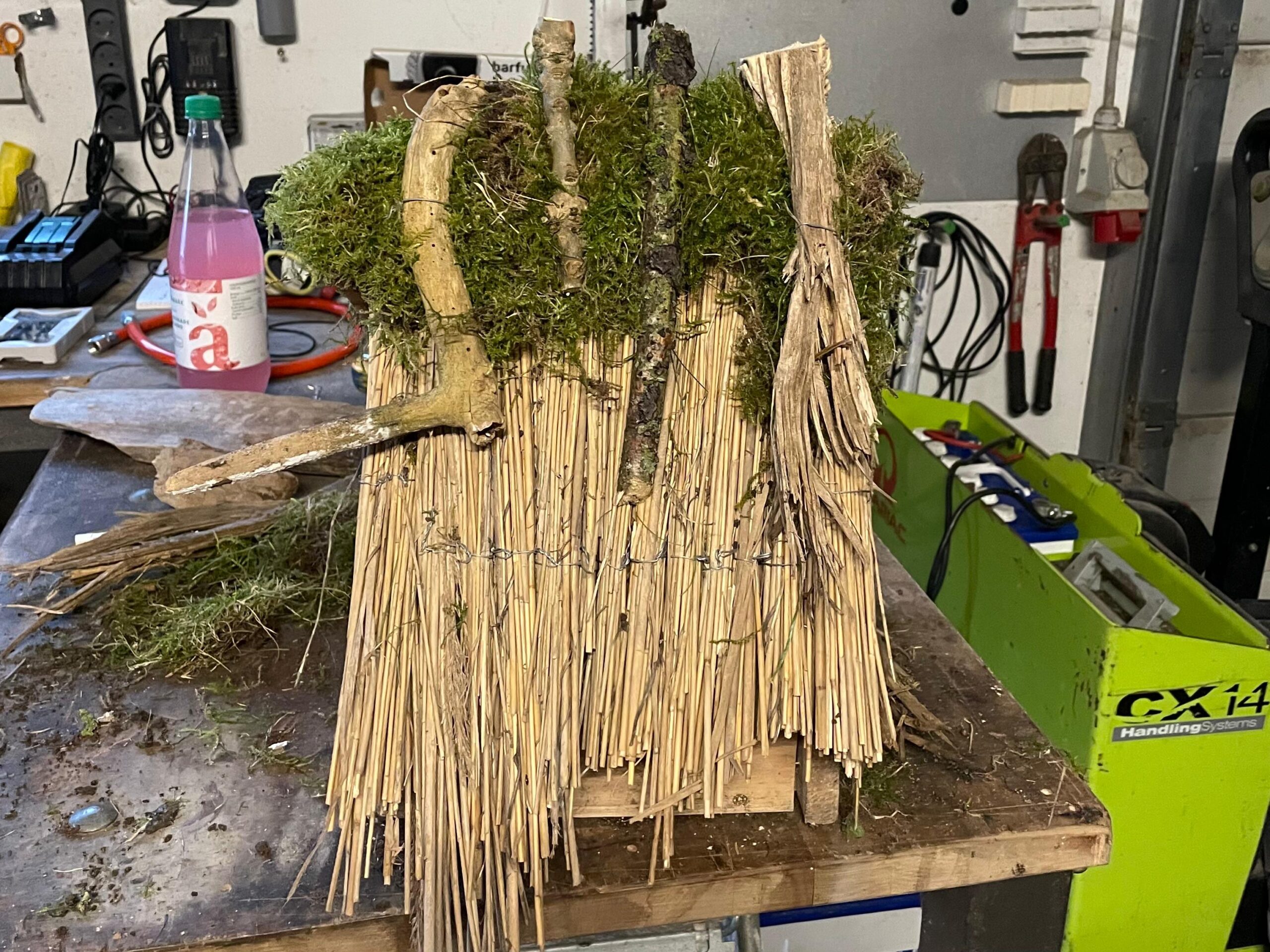 WhatsApp Image 2025-03-02 at 20.19.49 microgreen dill sprouts, radishes, mustard, arugula, mustard in the range on a light background