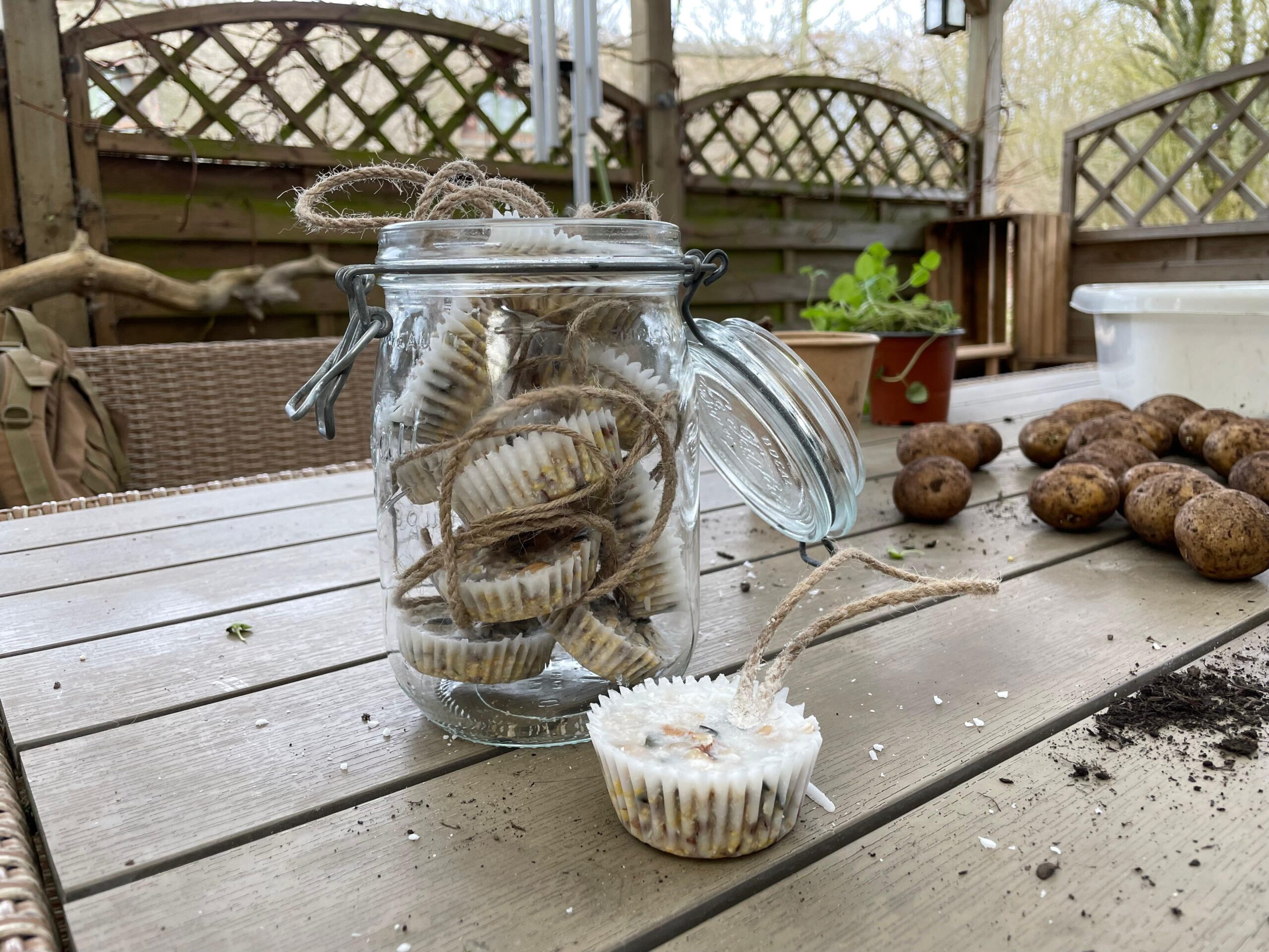 WhatsApp Image 2025-03-02 at 20.28.07 microgreen dill sprouts, radishes, mustard, arugula, mustard in the range on a light background