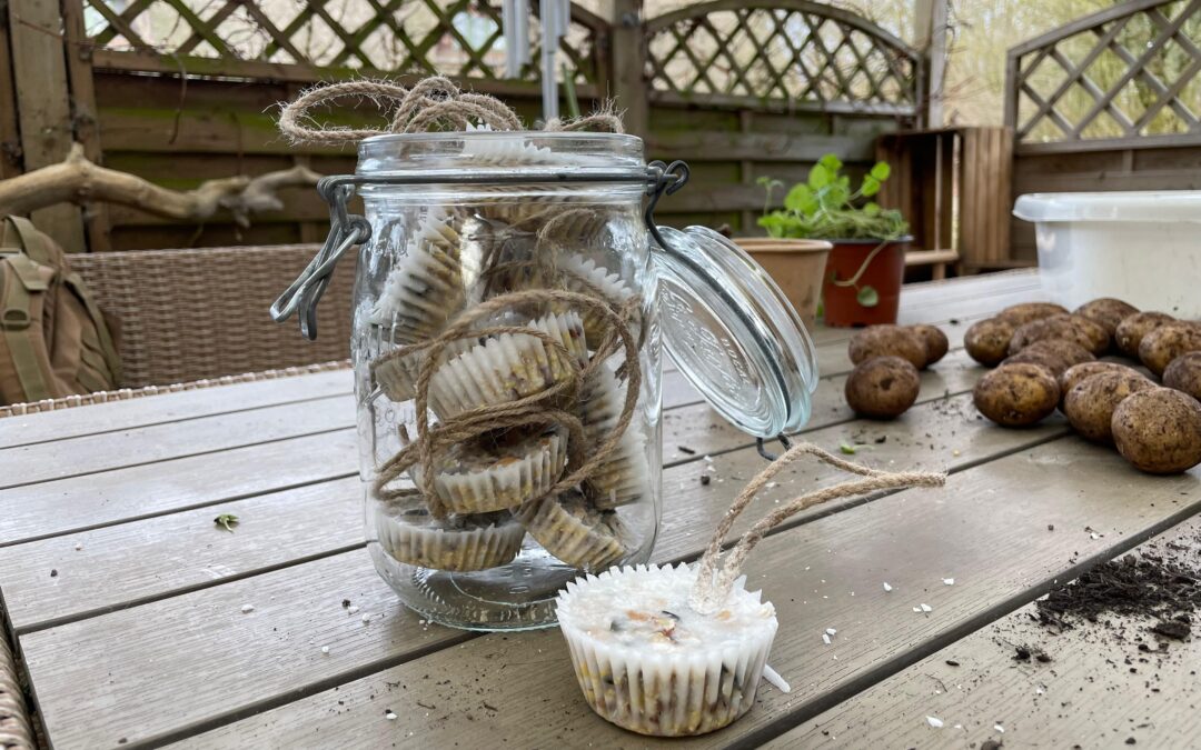 Vom Vogelhaus zur Vogelfütterung – So unterstützt du Vögel im Winter mit selbstgemachtem Futter