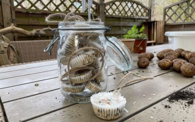 Vom Vogelhaus zur Vogelfütterung – So unterstützt du Vögel im Winter mit selbstgemachtem Futter