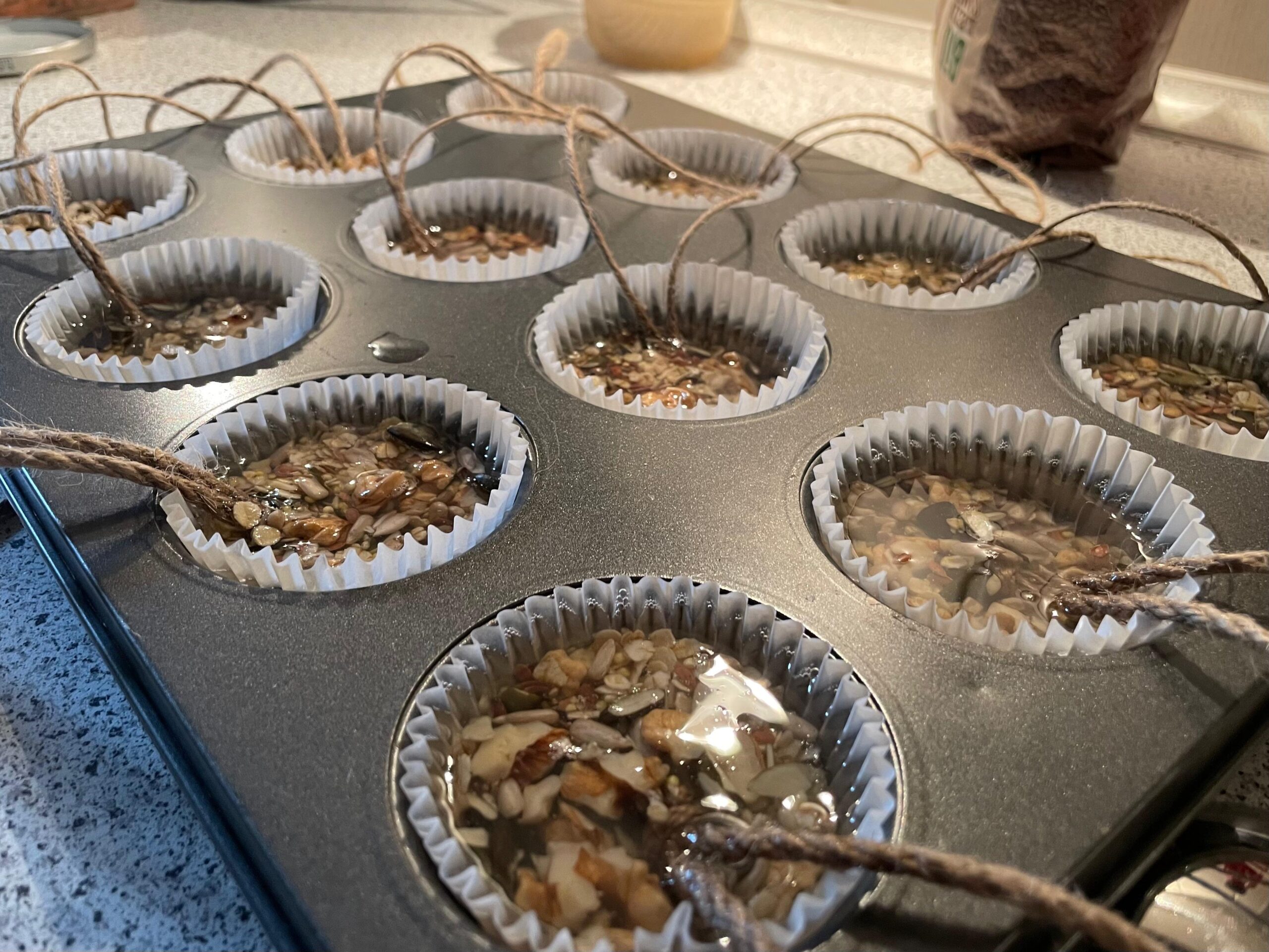 WhatsApp Image 2025-03-02 at 20.28.57 microgreen dill sprouts, radishes, mustard, arugula, mustard in the range on a light background