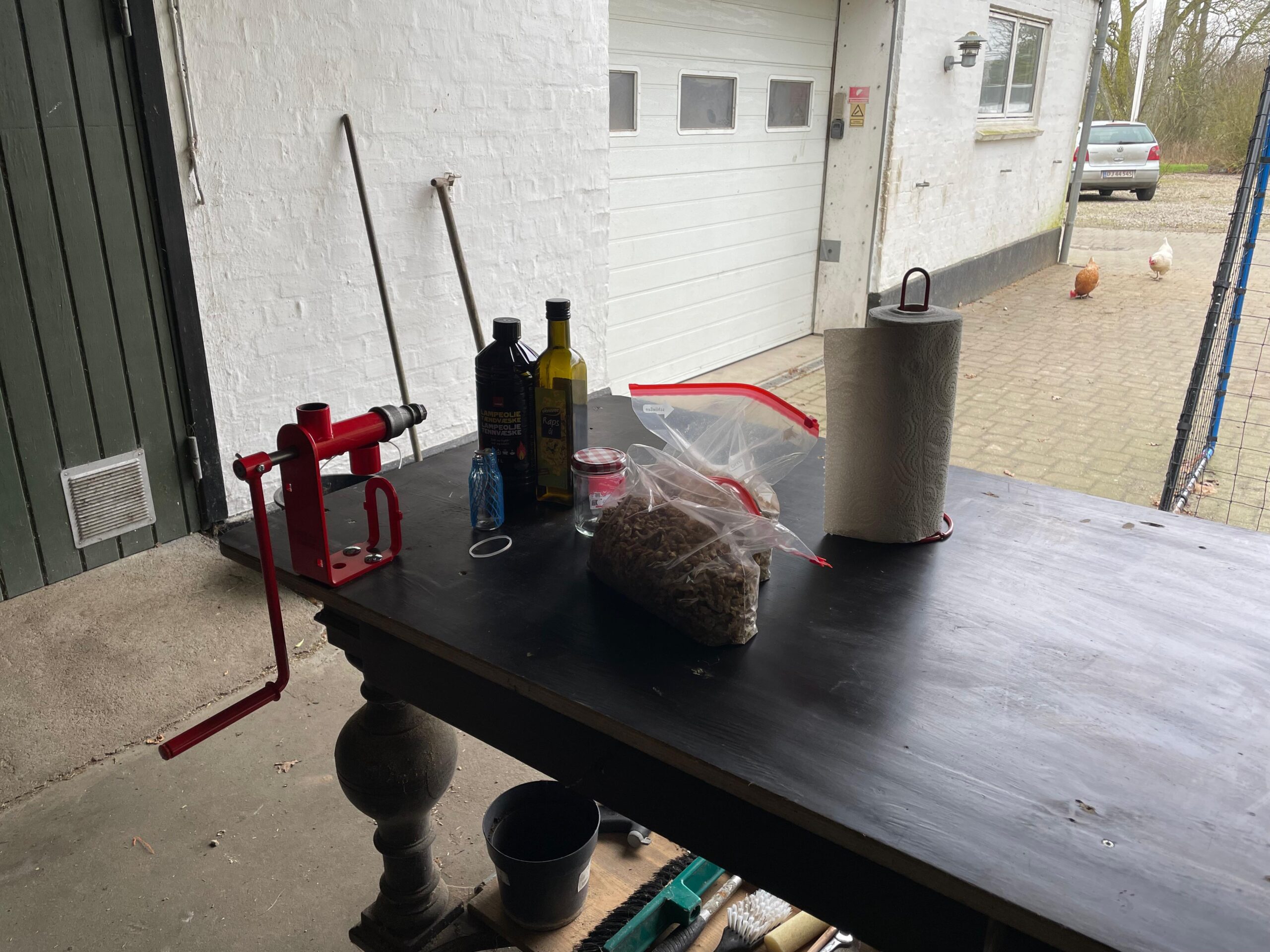 WhatsApp Image 2025-03-02 at 21.46.49 microgreen dill sprouts, radishes, mustard, arugula, mustard in the range on a light background