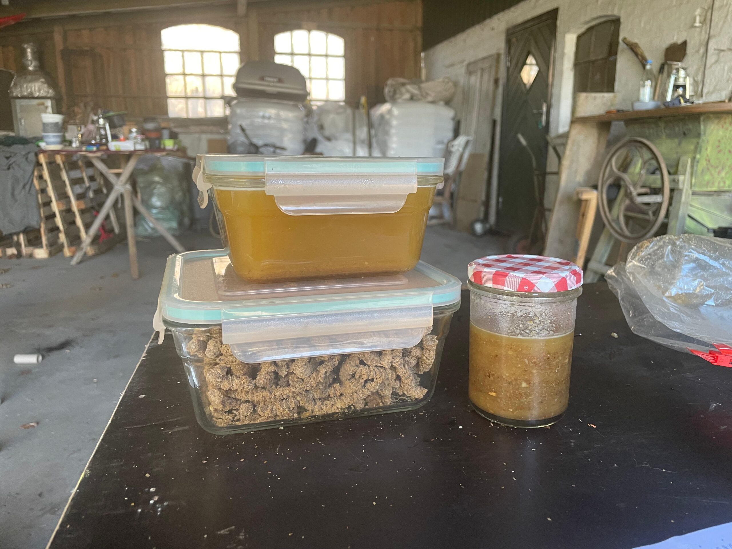 WhatsApp Image 2025-03-02 at 21.52.43 microgreen dill sprouts, radishes, mustard, arugula, mustard in the range on a light background